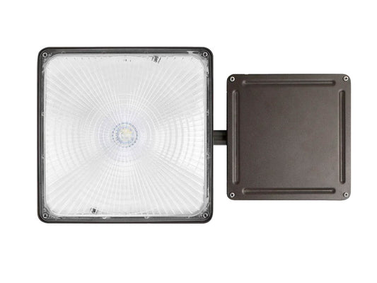 Dimmable 40 Watt 5000K LED Canopy Fixture With Battery Back Up, 175 Watt HID Equivalent